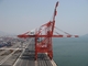 Dźwig portalowy OEM Harbour 55T do 65T Quayside Quay Crane w terminalach kontenerowych